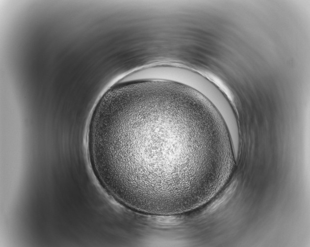 X0000096431007200801311428