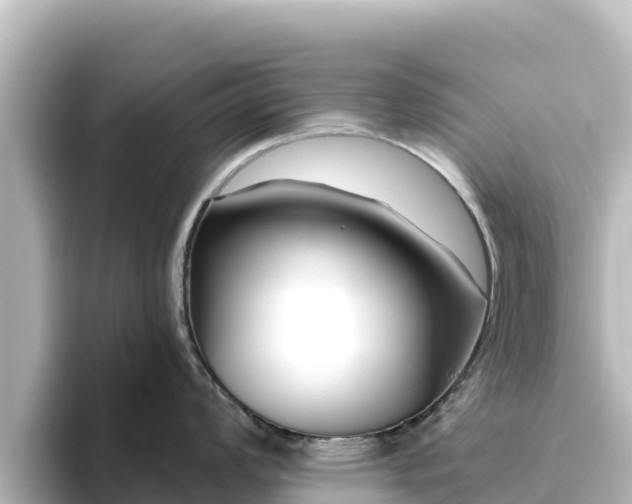 X0000096431008200801311428