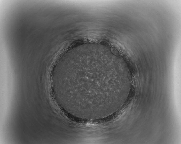 X0000096431009200801311428