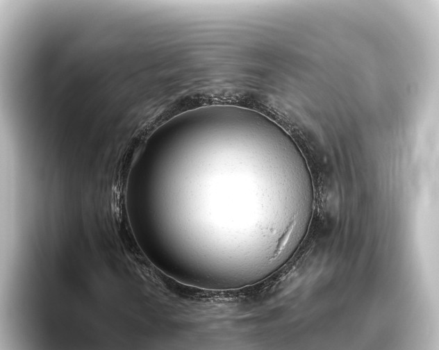 X0000096431010200801311428
