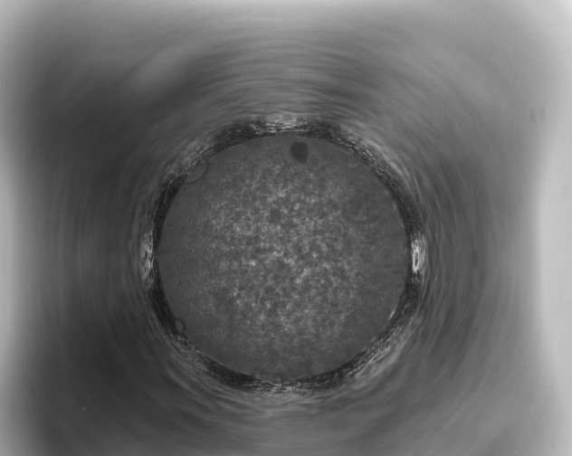 X0000096431011200801311428