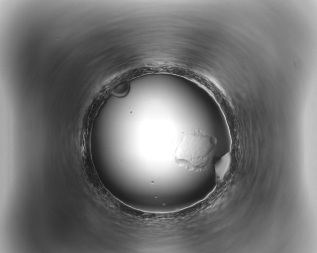 X0000096431016200801311428