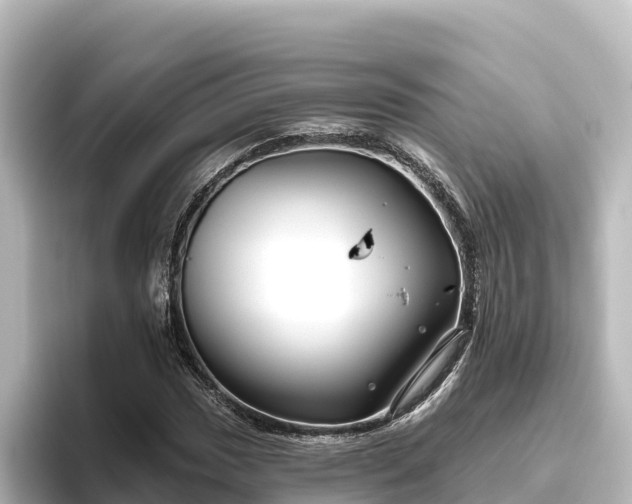 X0000096431017200801311428