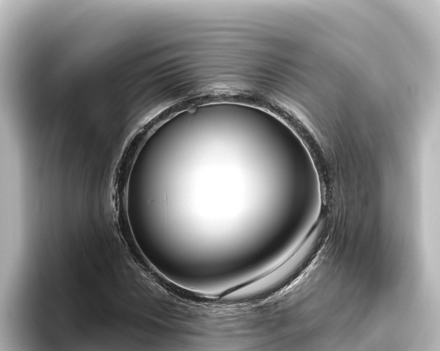 X0000096431018200801311428