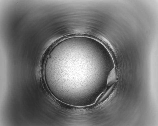 X0000096431019200801311428
