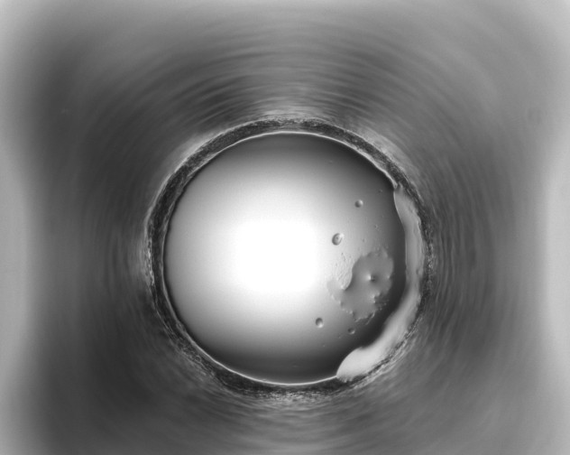X0000096431022200801311428