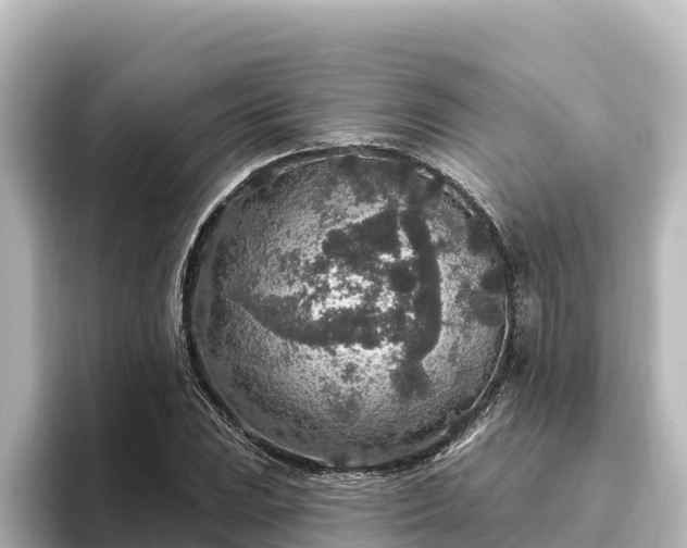 X0000096431023200801311428