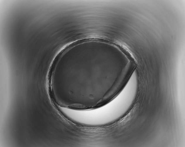 X0000096431024200801311428