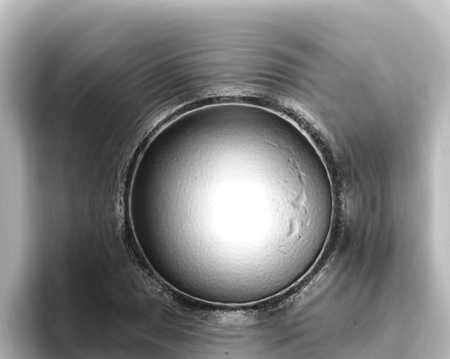 X0000096431025200801311428
