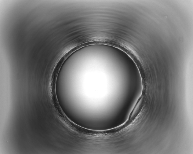 X0000096431026200801311428