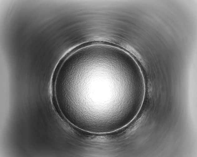 X0000096431028200801311428