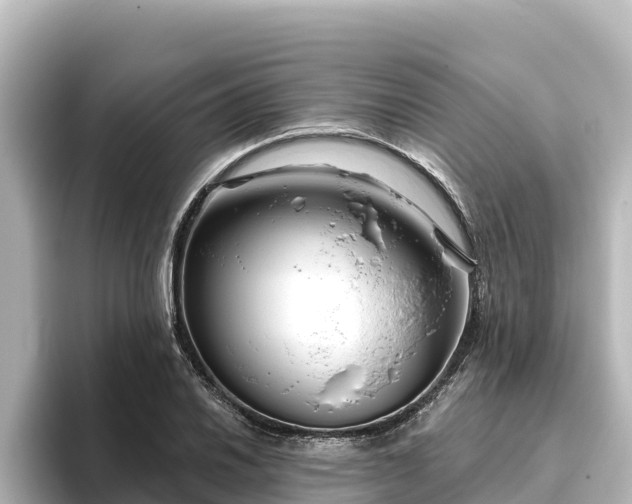 X0000096431030200801311428