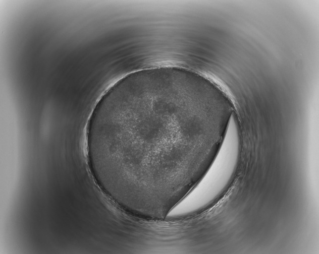 X0000096431031200801311428
