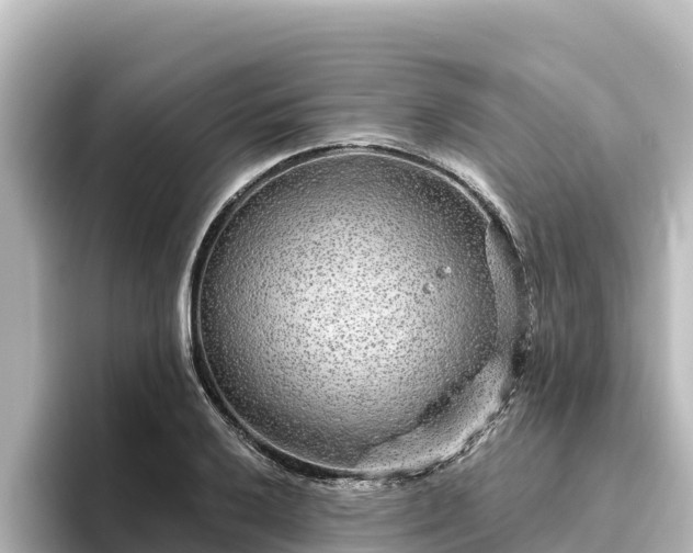 X0000096431032200801311428