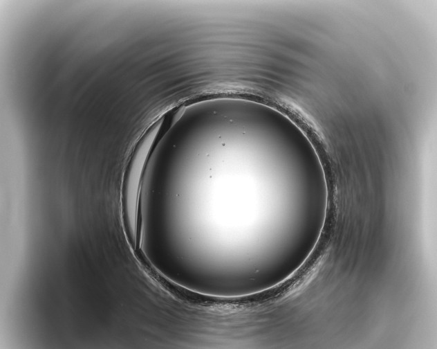 X0000096431033200801311428