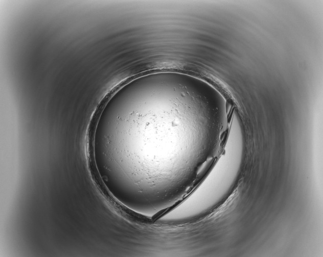 X0000096431034200801311428
