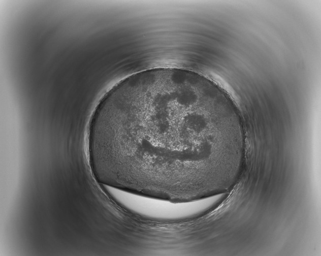 X0000096431035200801311428