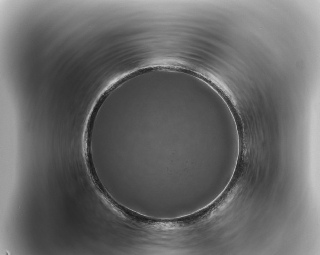 X0000096431037200801311428