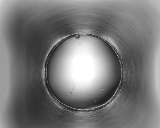X0000096431040200801311428