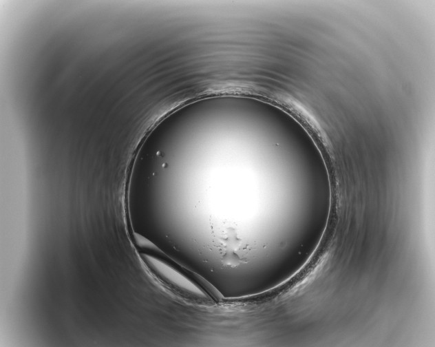 X0000096431041200801311428
