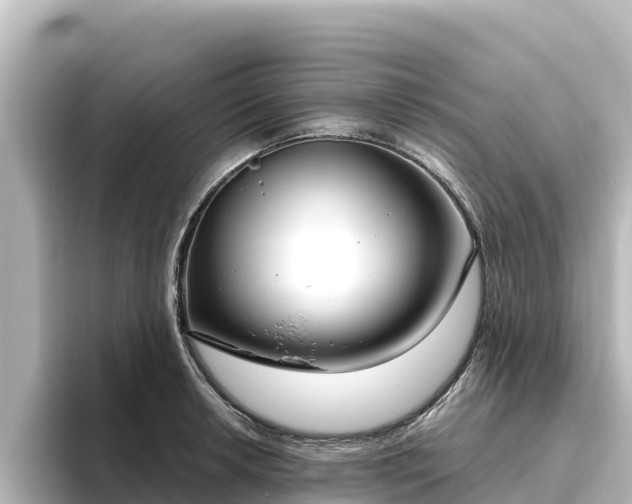 X0000096431042200801311428