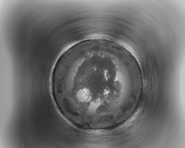 X0000096431045200801311428