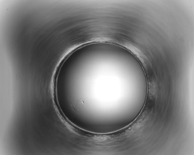 X0000096431046200801311428