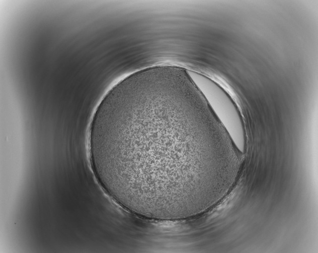 X0000096431048200801311428