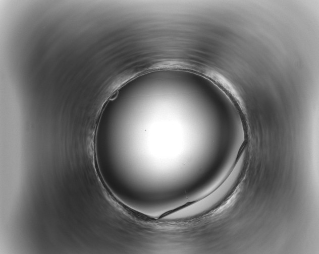 X0000096431049200801311428