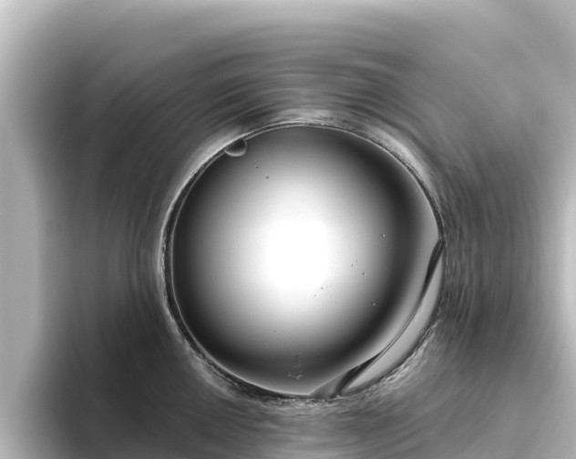 X0000096431050200801311428