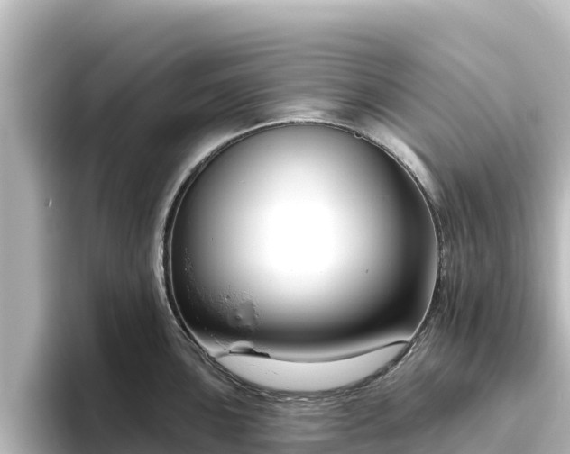 X0000096431051200801311428