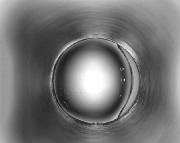 X0000096431052200801311428