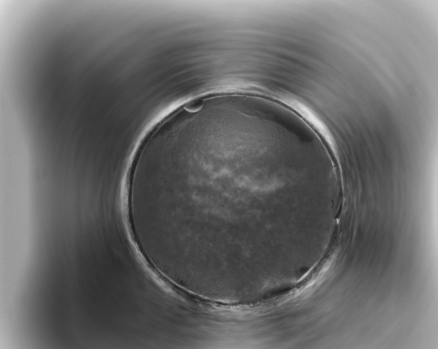X0000096431053200801311428