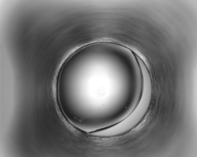 X0000096431054200801311428
