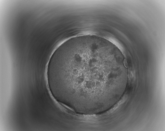 X0000096431055200801311428