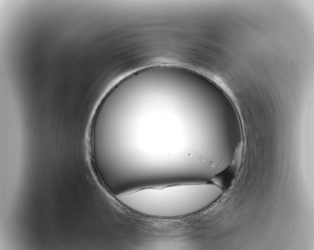 X0000096431056200801311428