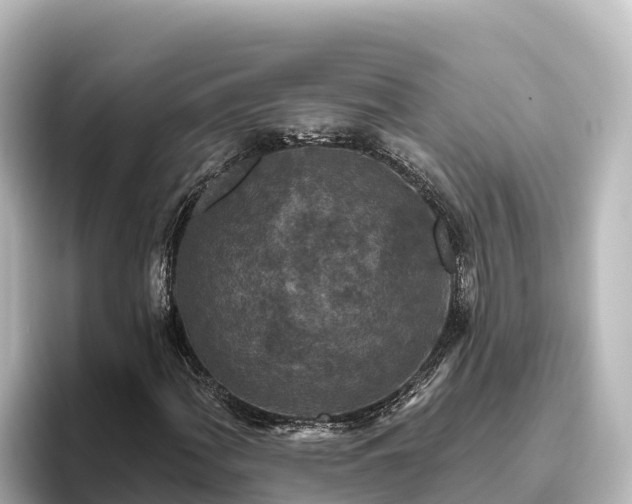 X0000096431060200801311428