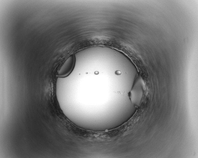 X0000096431061200801311428