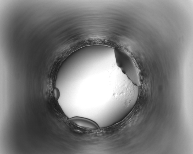 X0000096431062200801311428