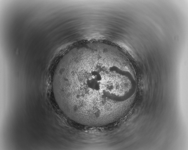 X0000096431063200801311428
