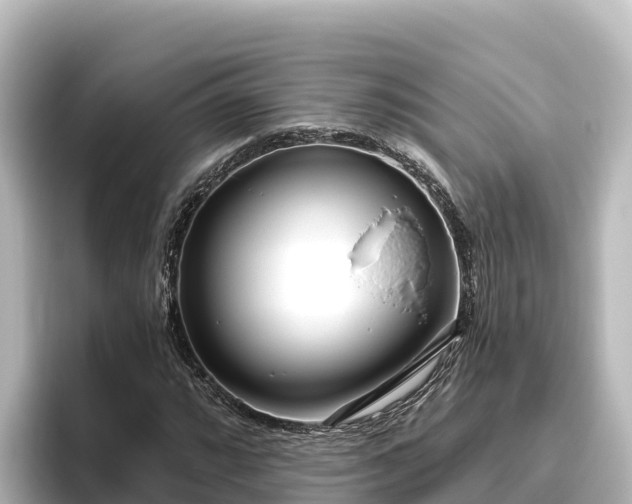 X0000096431064200801311428