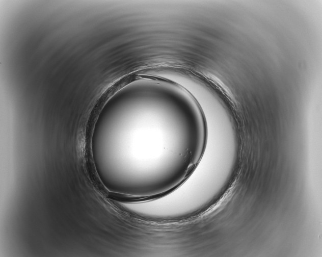 X0000096431065200801311428