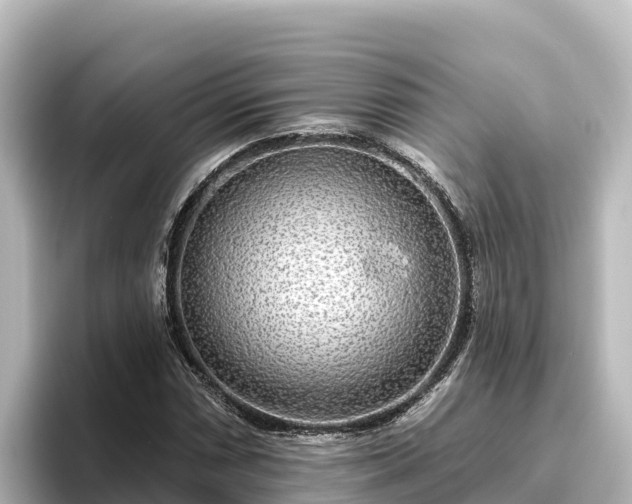 X0000096431066200801311428