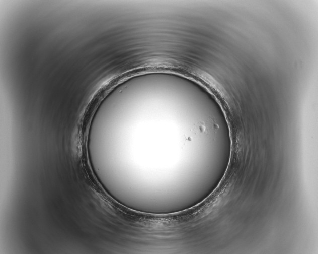 X0000096431067200801311428
