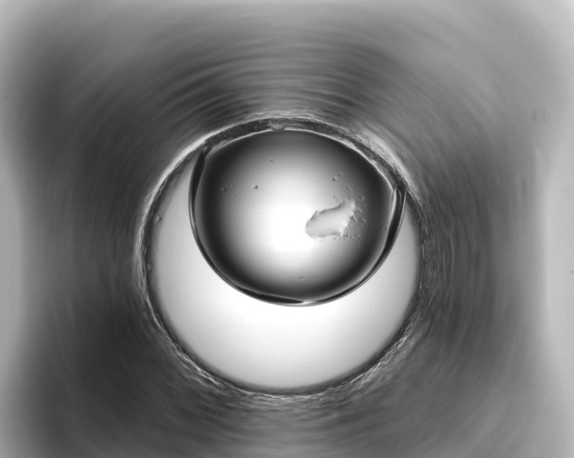 X0000096431068200801311428