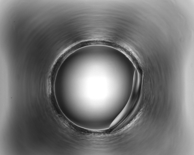 X0000096431069200801311428