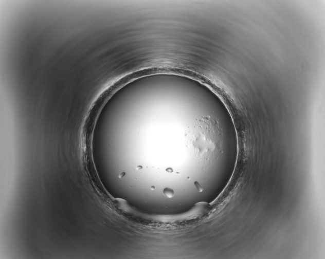 X0000096431070200801311428