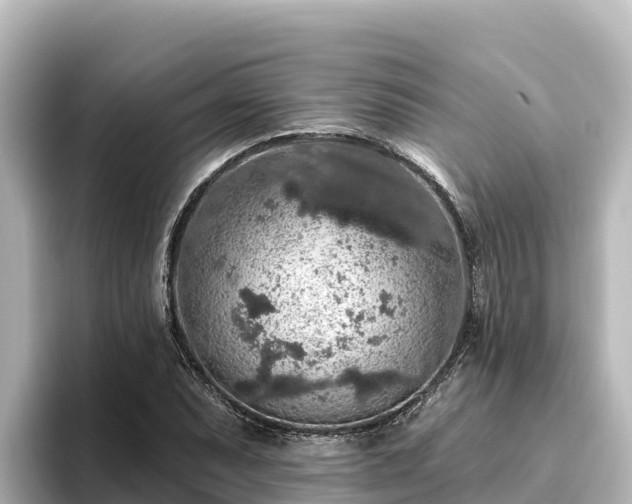 X0000096431071200801311428