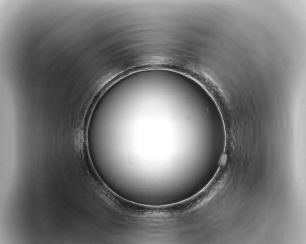 X0000096431073200801311428