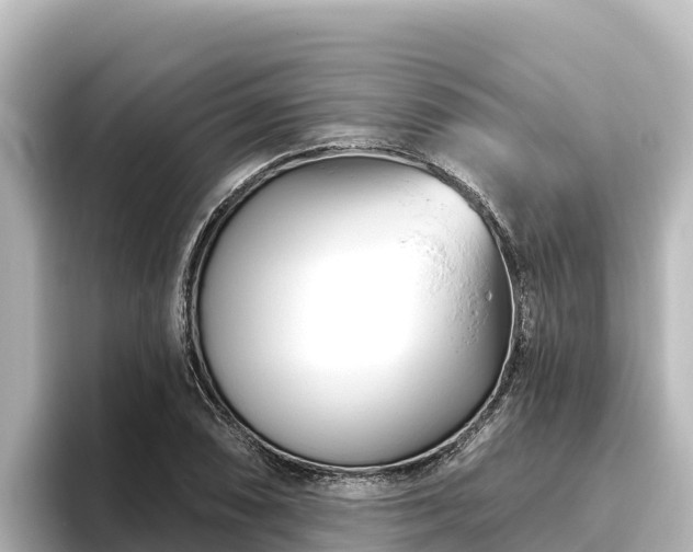 X0000096431074200801311428